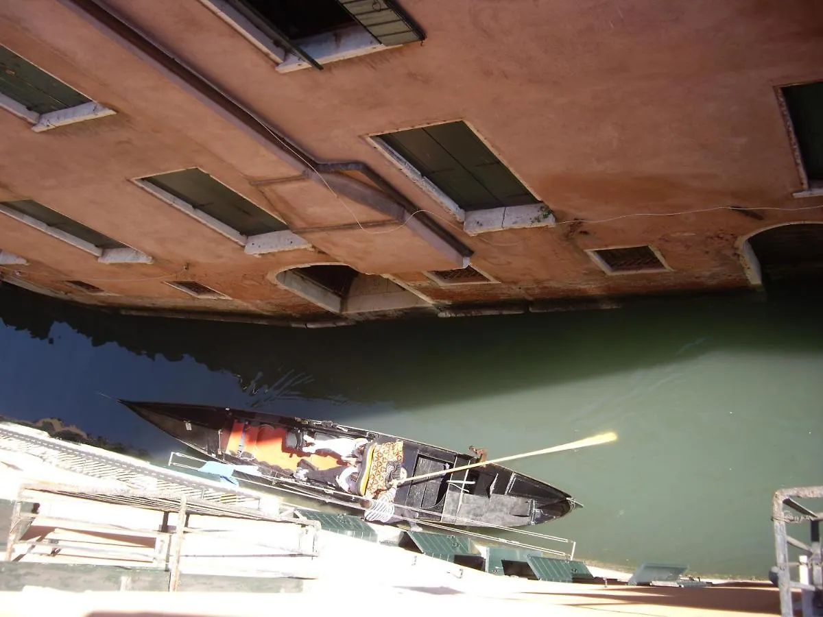 Wellvenice Fenice Daire