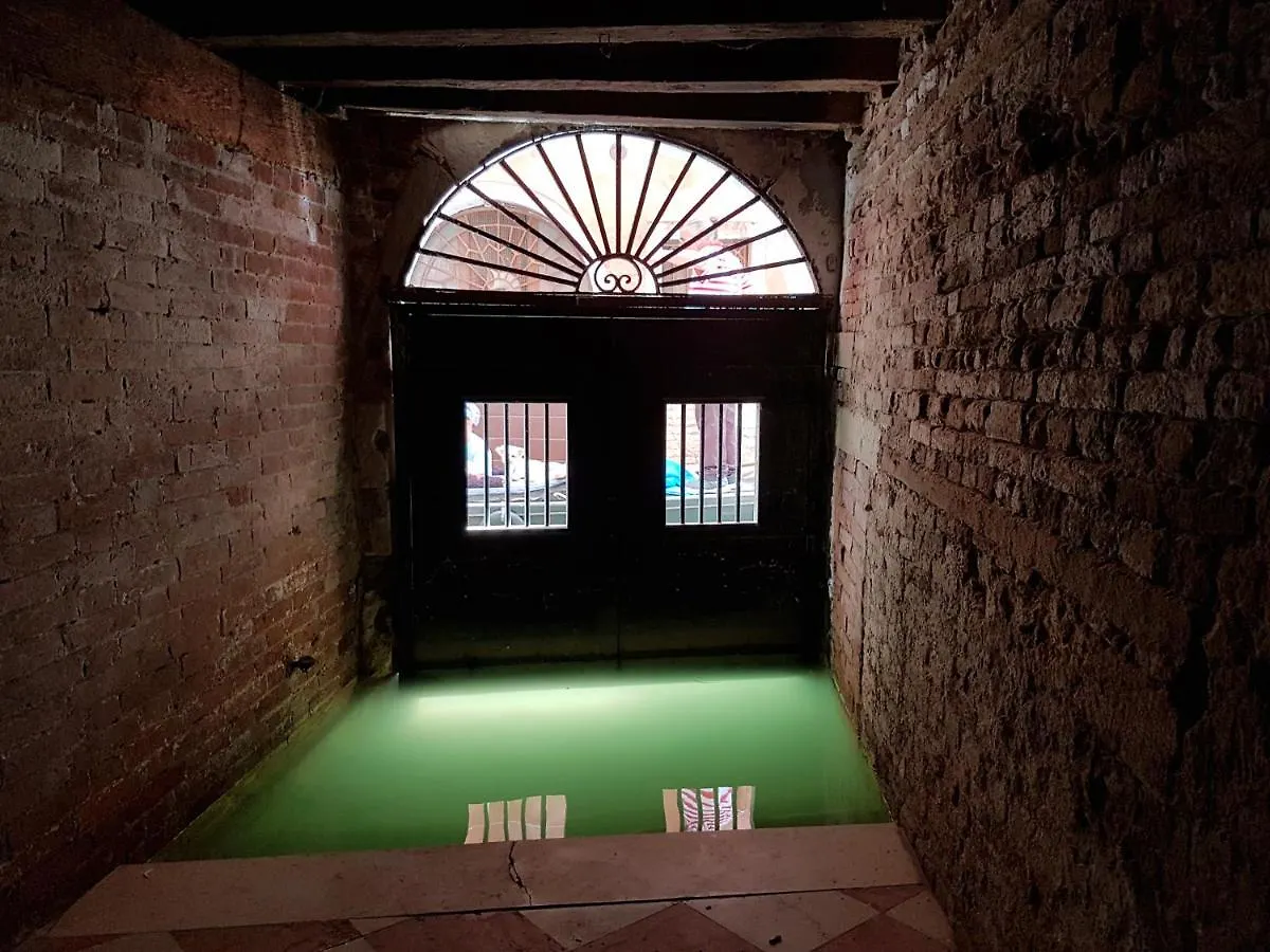 Wellvenice Fenice Venice